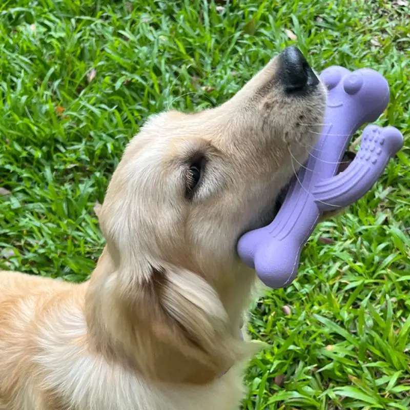 Кактус щенок жевательная игрушка кактус для собак ультра прочная интерактивные