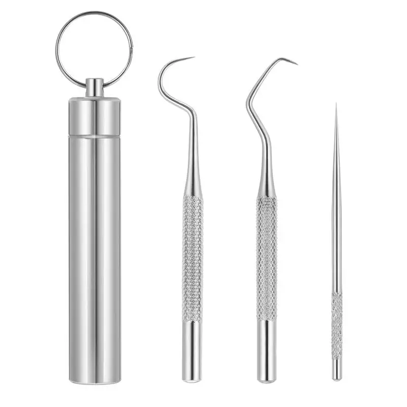1 Set Reusable Portable Stainless Steel Toothpicks Teeth Hooks Teeth Cleaning Tool for Outdoor Camping Home