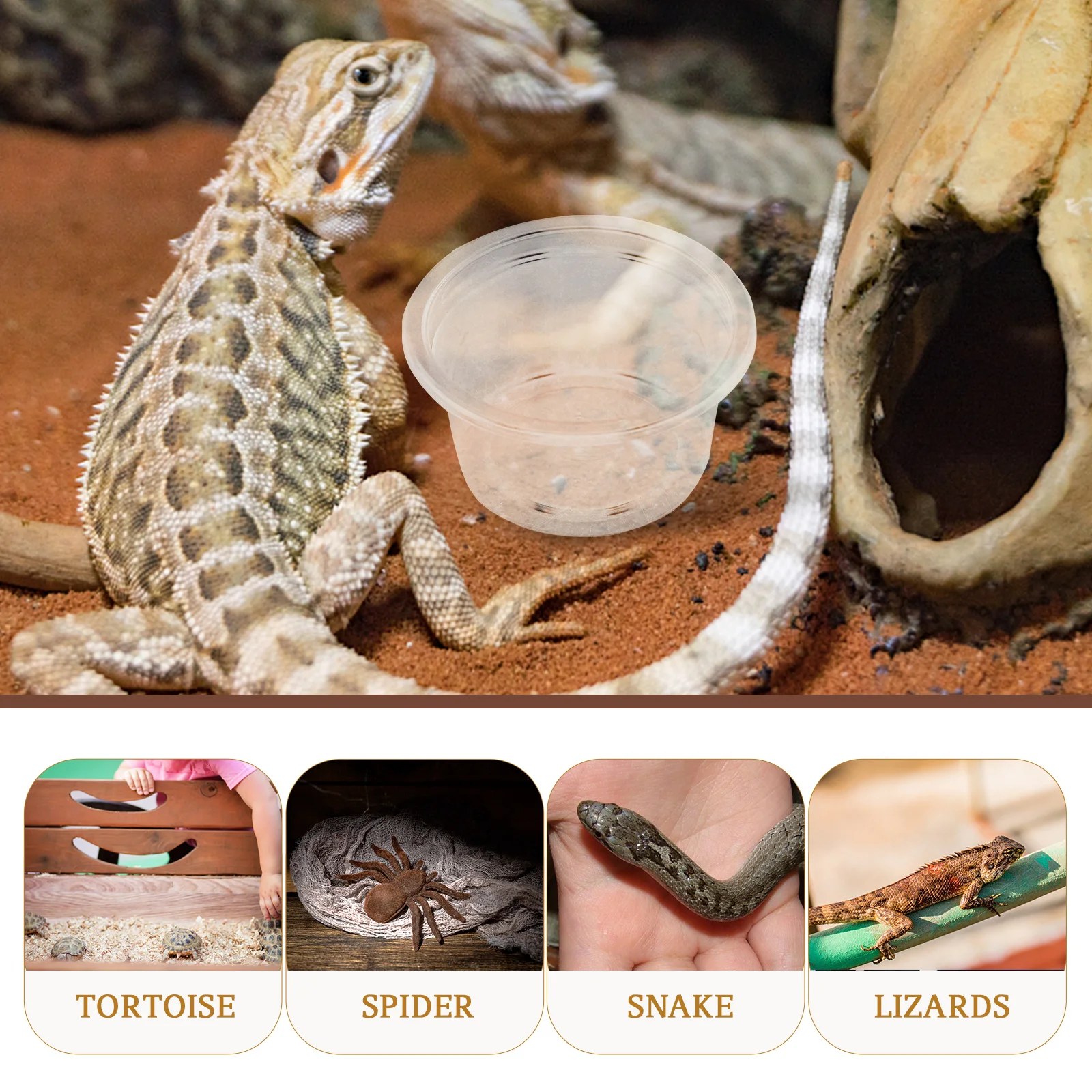20 шт. коробка для воды рептилий прозрачные чашки еды поднос посуды миска