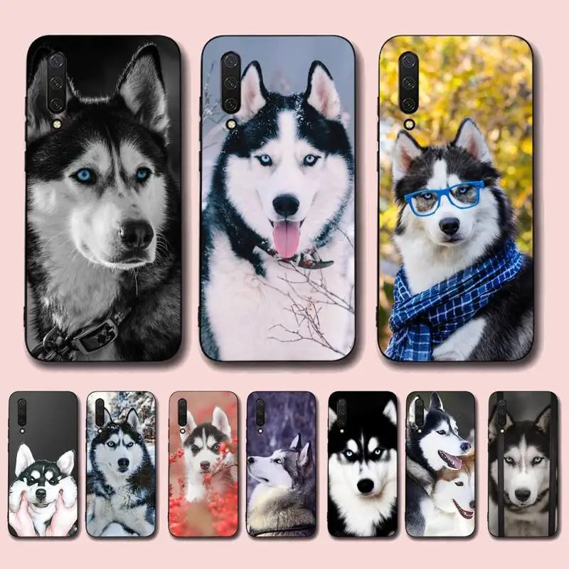 

Alaskan Huskies Dog Phone Case for Xiaomi mi 5 6 8 9 10 lite pro SE Mix 2s 3 F1 Max2 3
