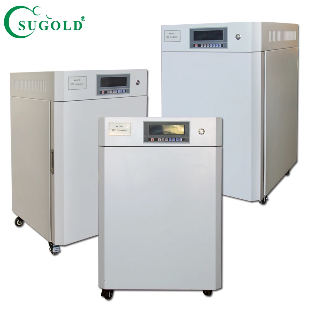 

Hot Sale Thermostatic Water-Jacket Carbon Dioxide Incubator for Laboratory
