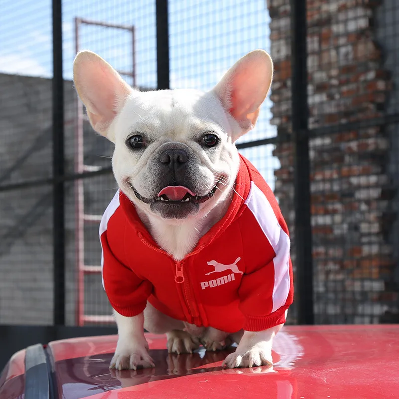 

2022 New Designer Dog Clothes Small Pet Clothes Chihuahua French Bulldog Dachshund Dog Costume Pet Zipper Jacket
