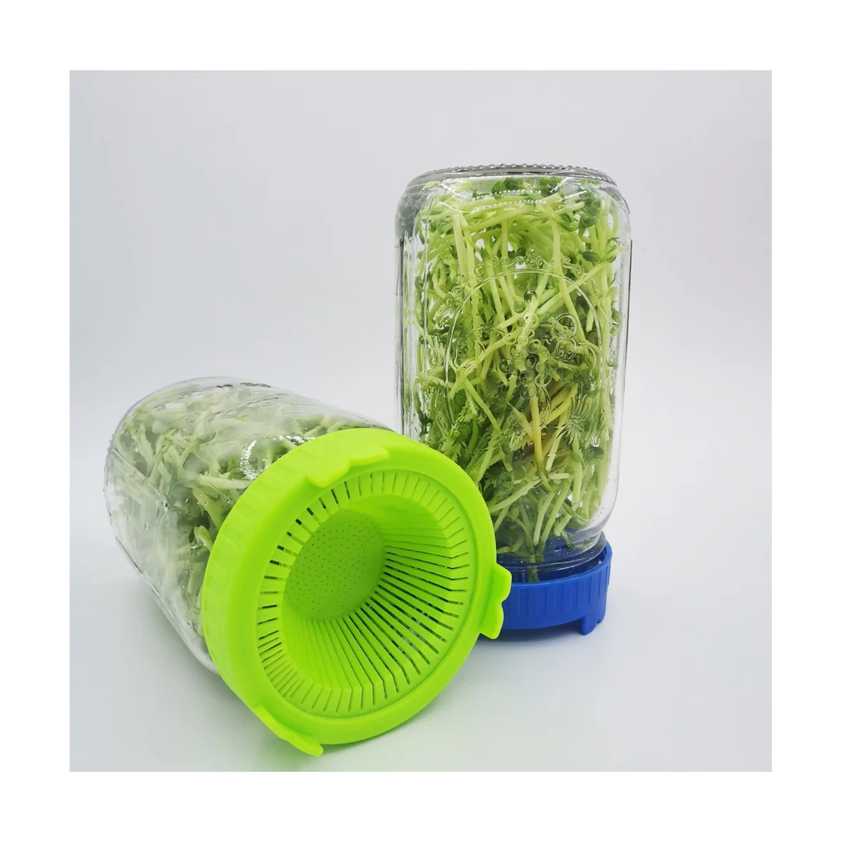 

6PCS Sprouting Kit Sprout Jars Lids Mesh Lids for Wide Mouth Jars Indoor Microgreens Plants Growing Screen,B