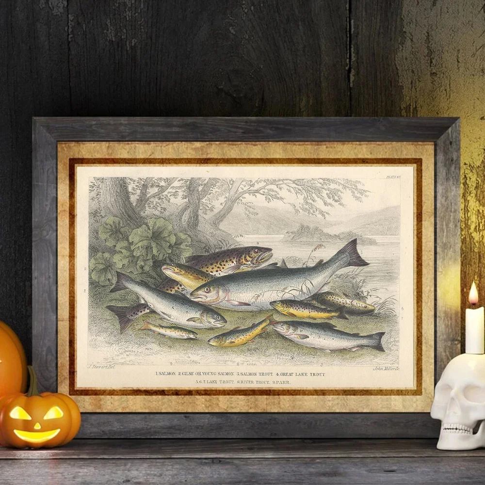 Винтажный плакат с изображением природы Оливера золотого Смита история земли и