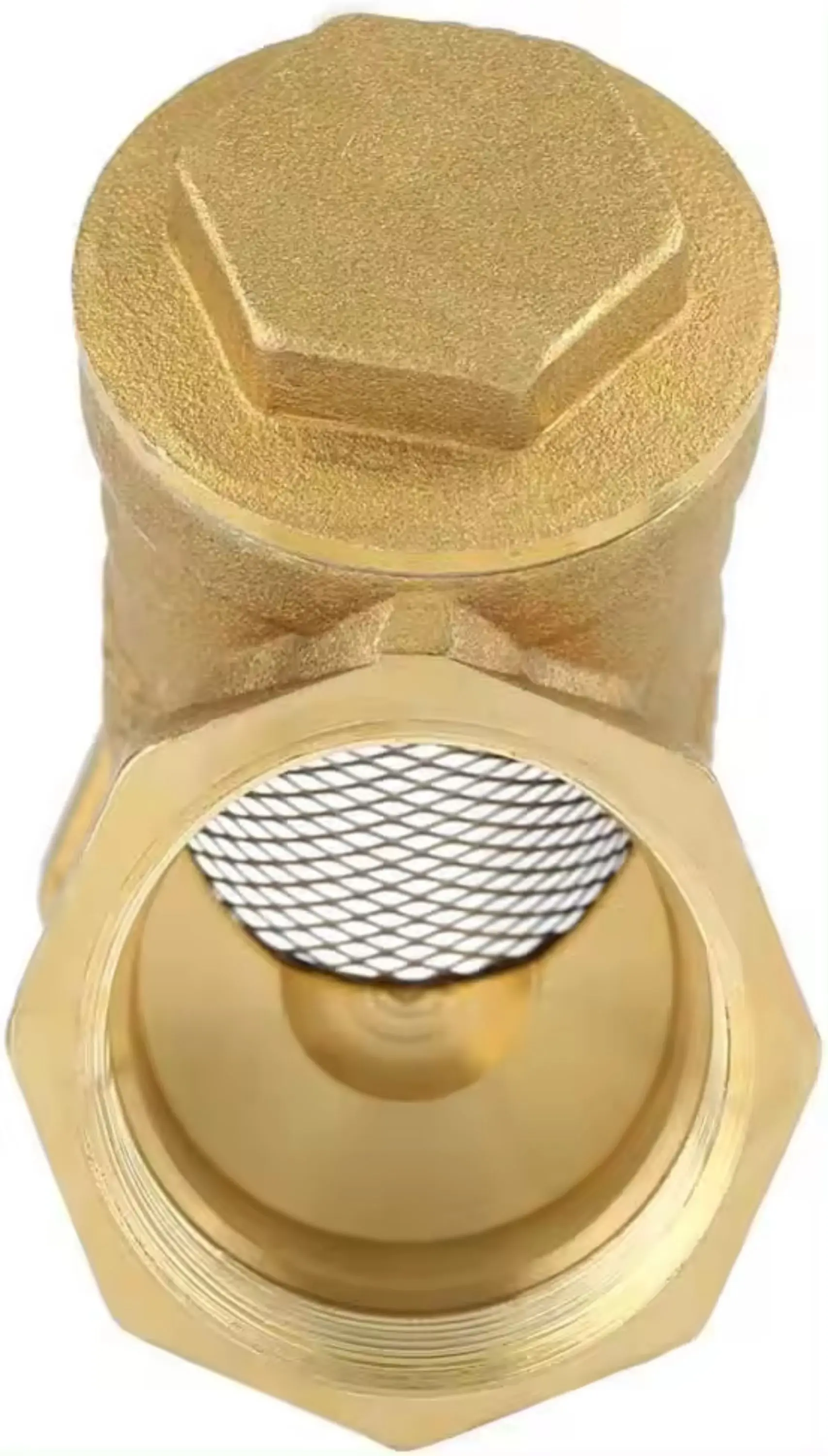 1 дюймовый латунный Y-образный фильтр обратный клапан с внутренней резьбой