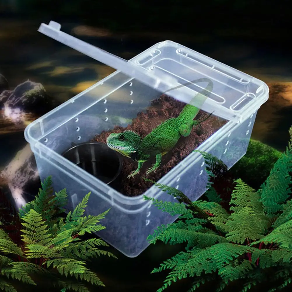 

Transparent Feeding Box Reptile Box Amphibian for Snake Cage Lizard Spider Reptile Combination Dropshipping