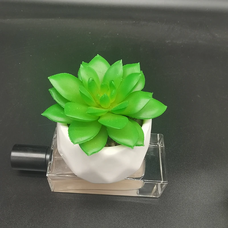 

Mini Creative DIY Home Decoration Simulation Succulent Potted Small Vase New Style Craft Tabletop Ornaments Bonsai PVC+Ceramic