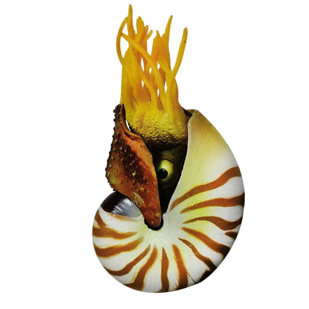 

Simulation Nautilus Decorative Aquarium Sea Shells Landscaping Shells Crafts Fish Tank Decor Aquarium Ornament