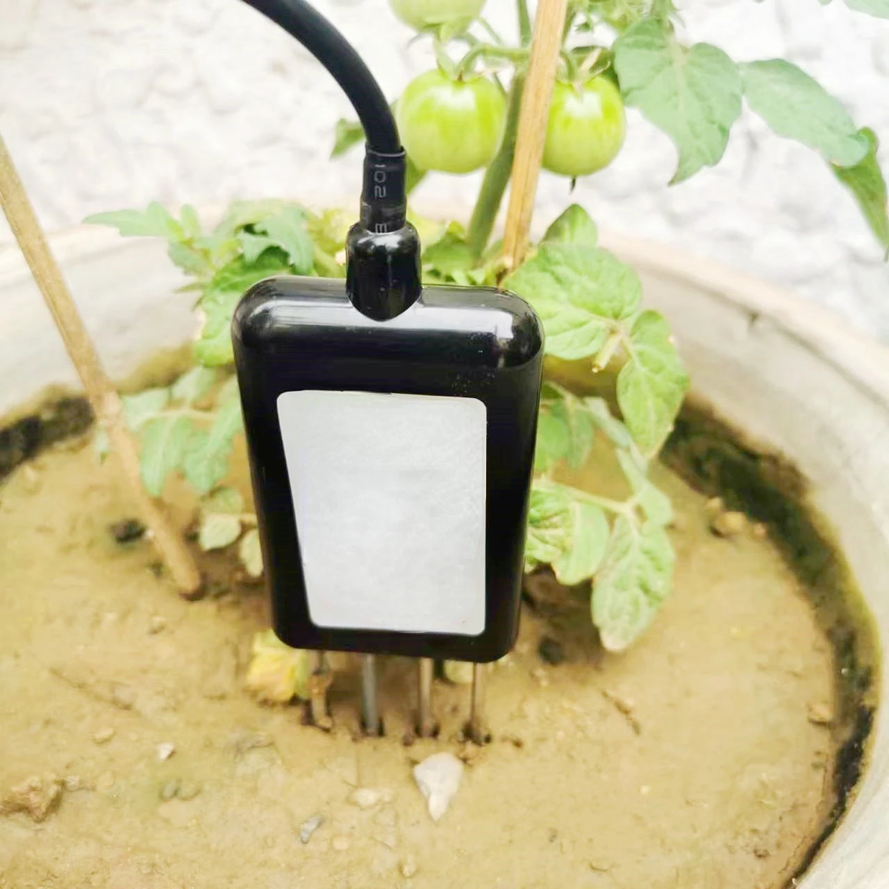 

Farm Ip68 Waterproof Stainless Steel Probes Soil Nutrient Sensor