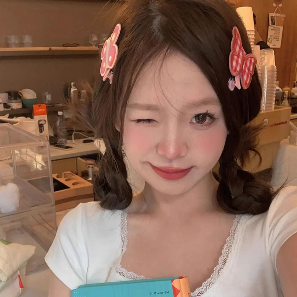 

Lattice Hair Clips Headdress Butterfly Stripe Barrettes for Women PinkColor Embroidery Hair Pins Women