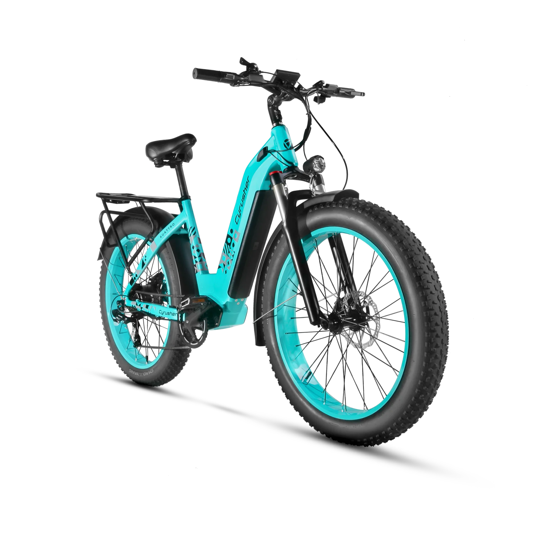 

250W 500W 750W 1000W 48V Electric Bike 4.0 Fat Tire E-bike