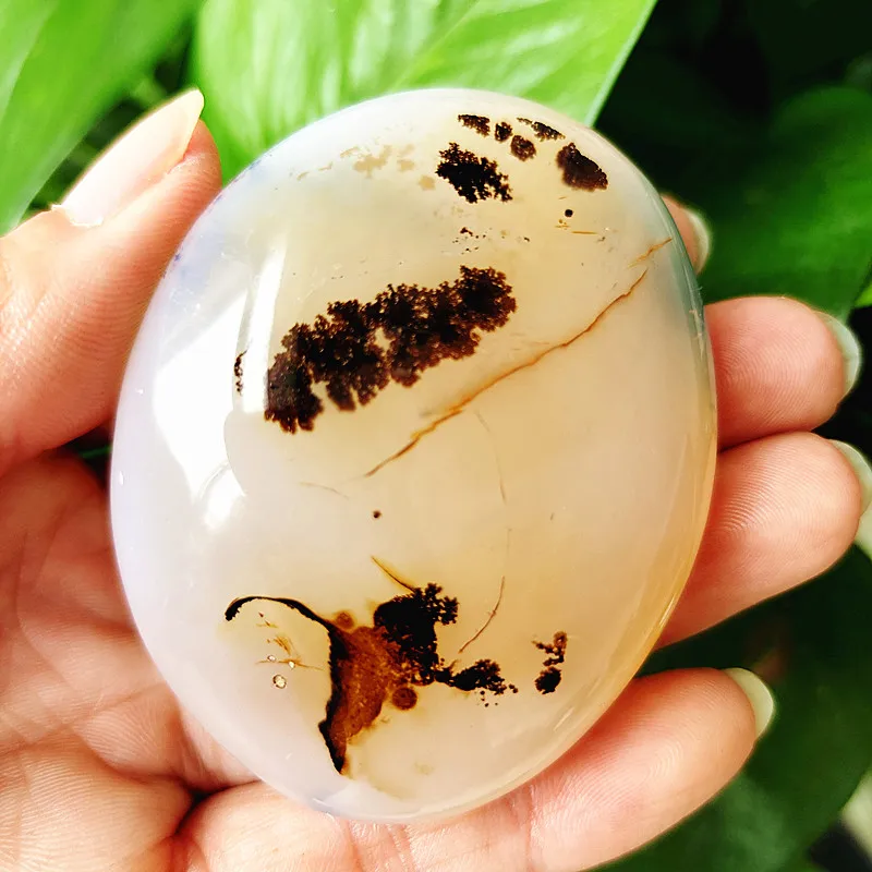 

Natural crystal anau waterplant plant agate stonePalm stone plaything stone yoga stone exercise stone material
