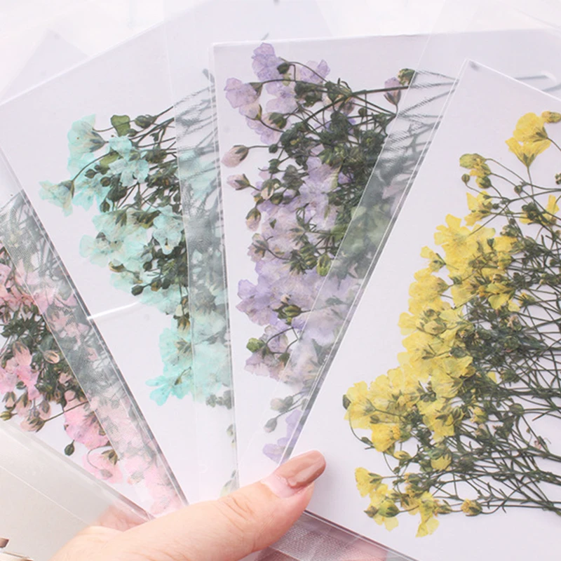 

1 bag Gypsophila with branch and dried flowers diy glue mobile phone case material aroma wax brand plant specimen