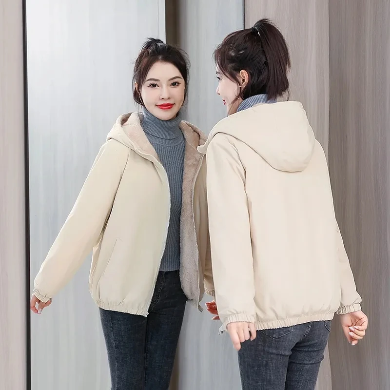 Down Cotton Jacket Womens 2022 Winter New Fashion Loose Versatile Slim Padded Jacket Women Large Size Hooded Plus Velvet Parkas