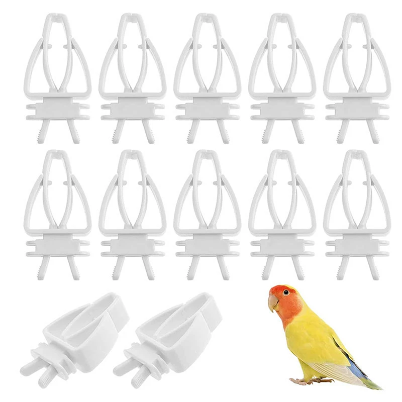 

Birds Food Holder Pet Parrot Feeding Fruit Vegetable Clip Cuttlefish Bone Feeder Device Clamp Holder Hamster Bird Cage Accessori