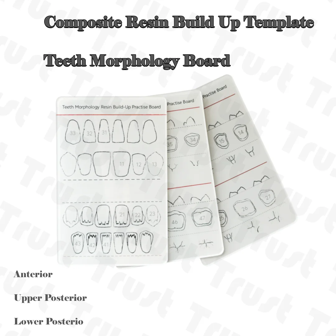Отверстие для подготовки полости зубов практика кариеса шаблон наполнения