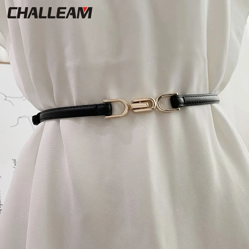

Women's Fashion PU Belt Soft Fit Belt Fine Luxury Belt with Decorative Skirt Jacket Sweater Belt Decoration 304