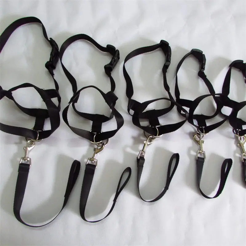 

Pet Training Collar Traction Dogs Leash Dog Mouth Rope Dog Mouth Cover Anti-Bark Anti-Bite Pet Mouth Cover Nylon Ropes