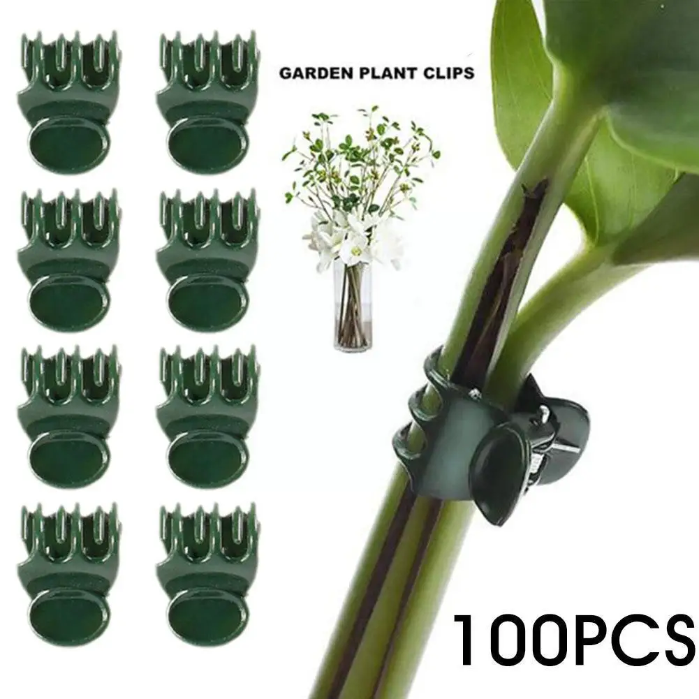 Home Plant Climbing Wall Butterfly Clips Vine Buckle Hook Clamp Plant Rattan Upright Garden Support Grow Clamping Flower Clips