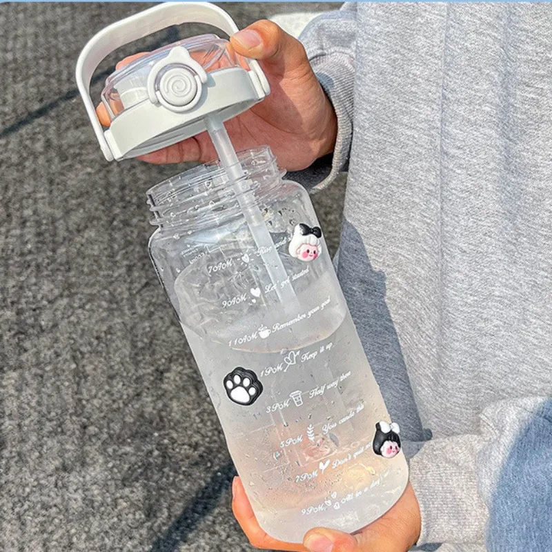 Портативная Пластиковая Бутылка Для Воды С Двойными Стенками Экологически