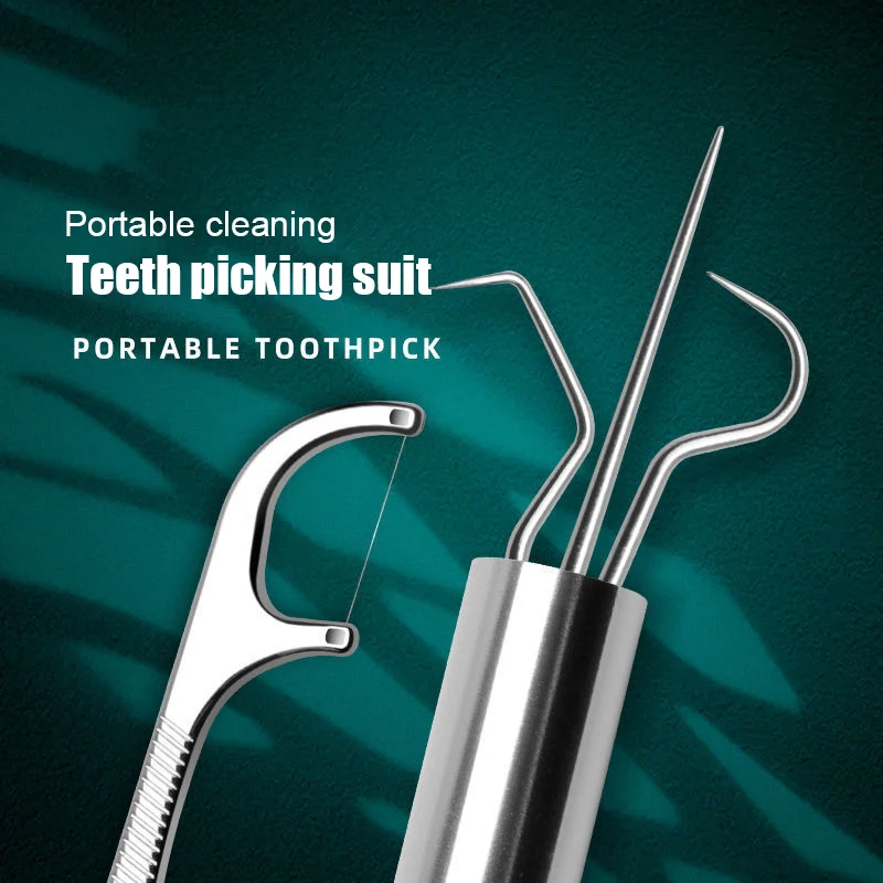 

Stainless Steel Toothpick Set Metal Tooth Flossing Reusable Toothpicks Portable Toothpick Floss Teeth Cleaner Oral Cleaning New
