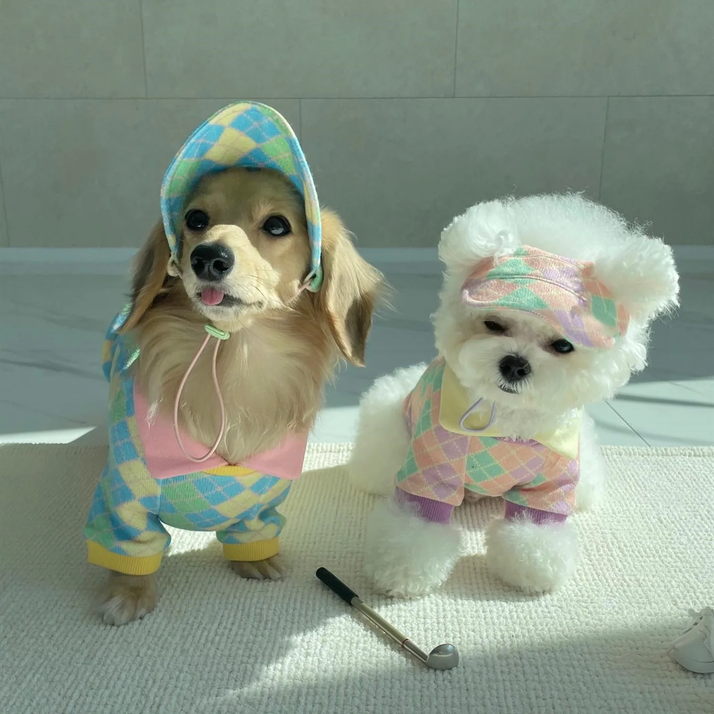 

New INS Pet Clothing Check Color Golf Lapel T-shirt Dog Pet Dog Pet Warm Color Mountaineering Suit Dog Clothes