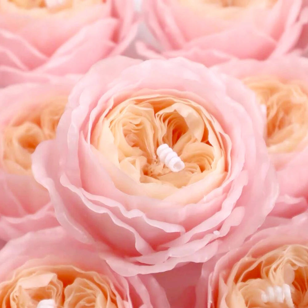 Роза Остина силиконовая форма для свечей изготовление помадки шоколада