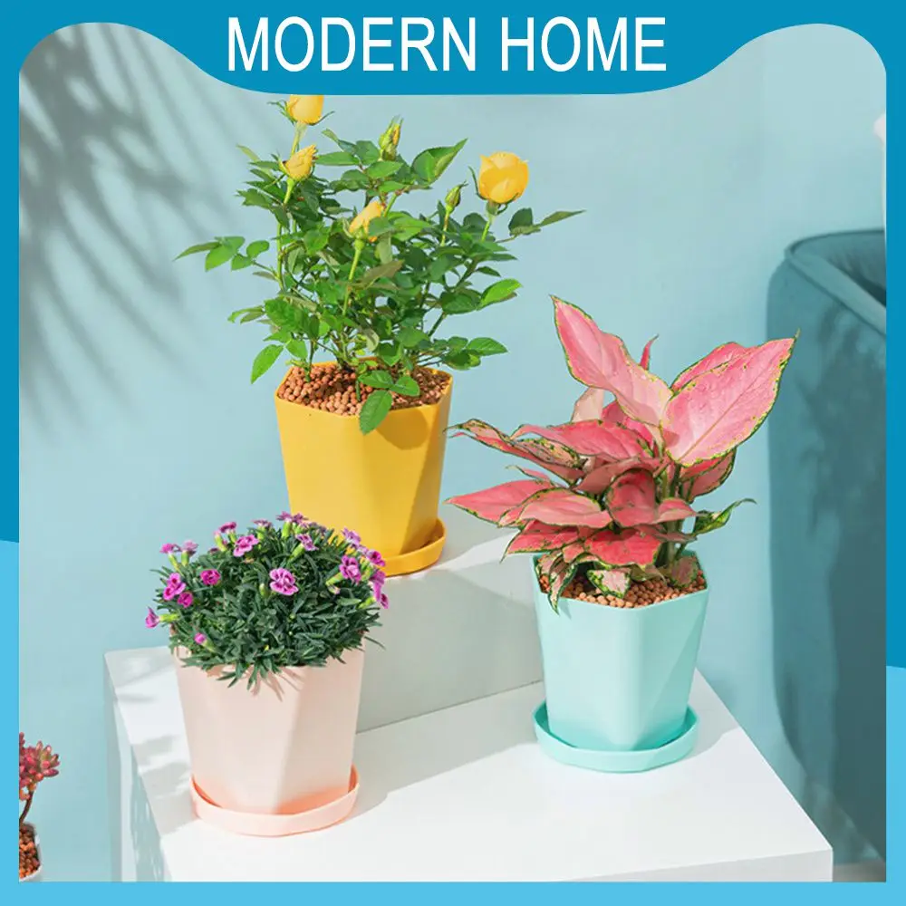 

Material Foot Practical Water-saving Tray Strong Anti-fall No Deformation Plastic Pallet Ventilation Hole Design Extrusion