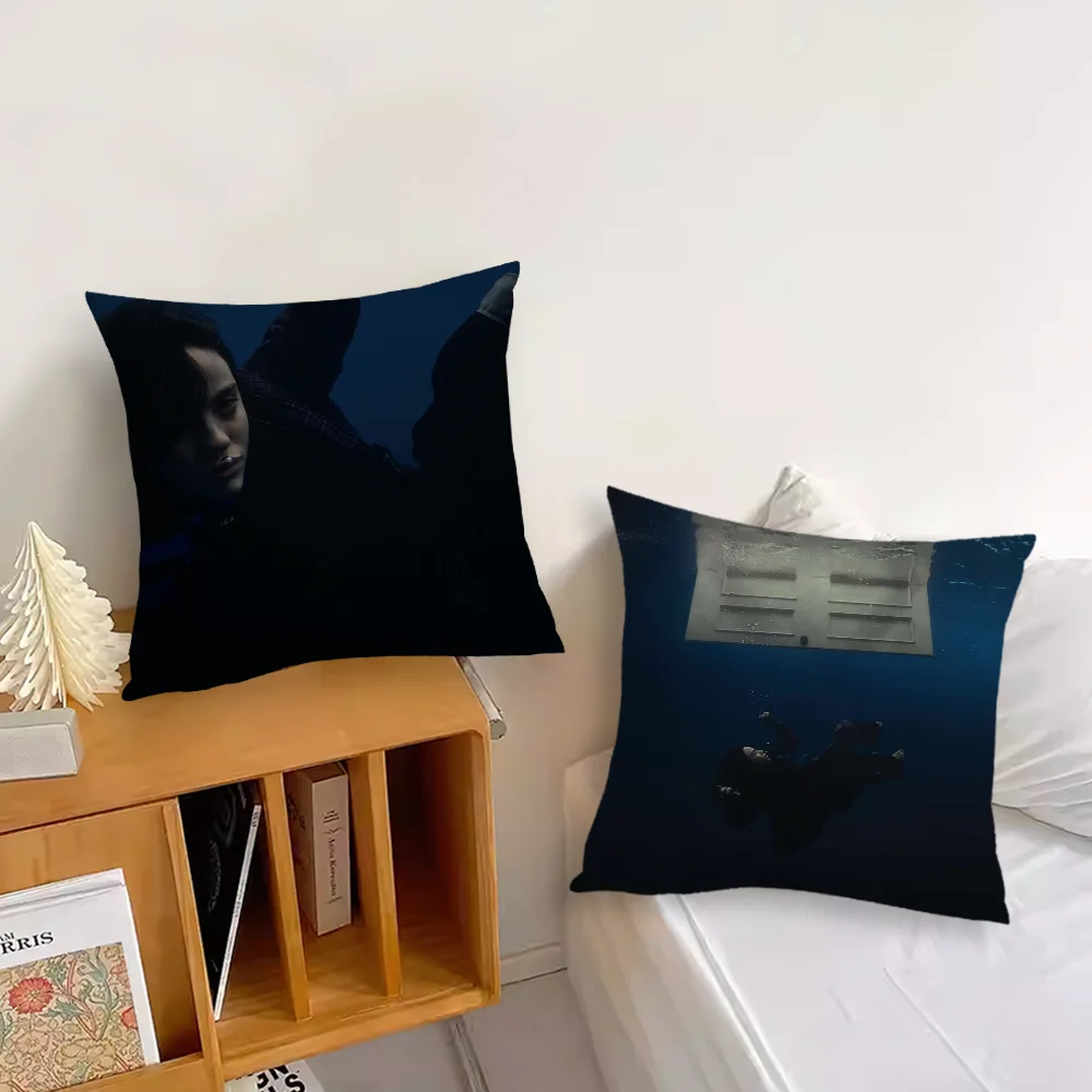 Наволочка Singer E-Eilish для дивана спальни гостиной офиса прикроватная тумбочка B-BillieS