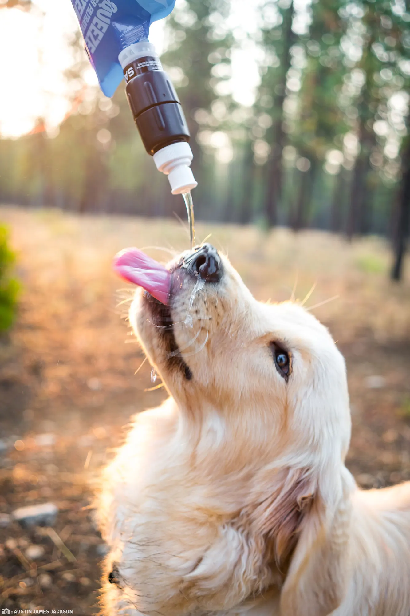 SP8129 Micro Squeeze Water Filtration System w/ Two 32-Ounce (1-Liter) Pouches