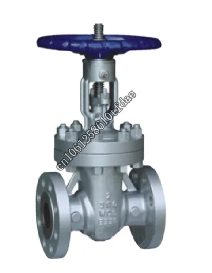 

DN25 1 inch duplex 2205 150lb api gate valve for chemical industry
