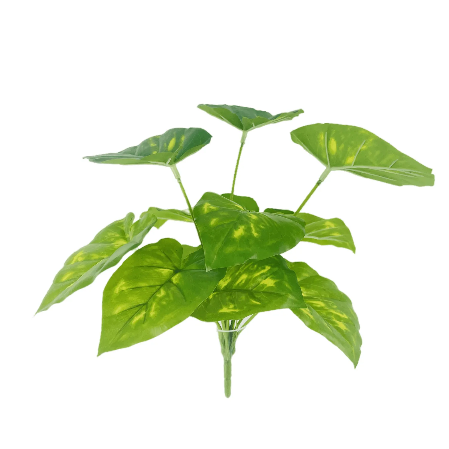 

Искусственные листья арбуза Green Aloes