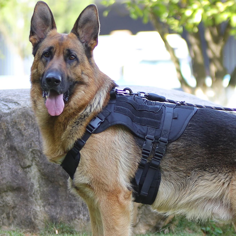 

Nylon Tactical Dog Harness Military Quick Release Vest Training K9 Dog Patrol No Pull Medium Large Dogs German Shepherd Malinois