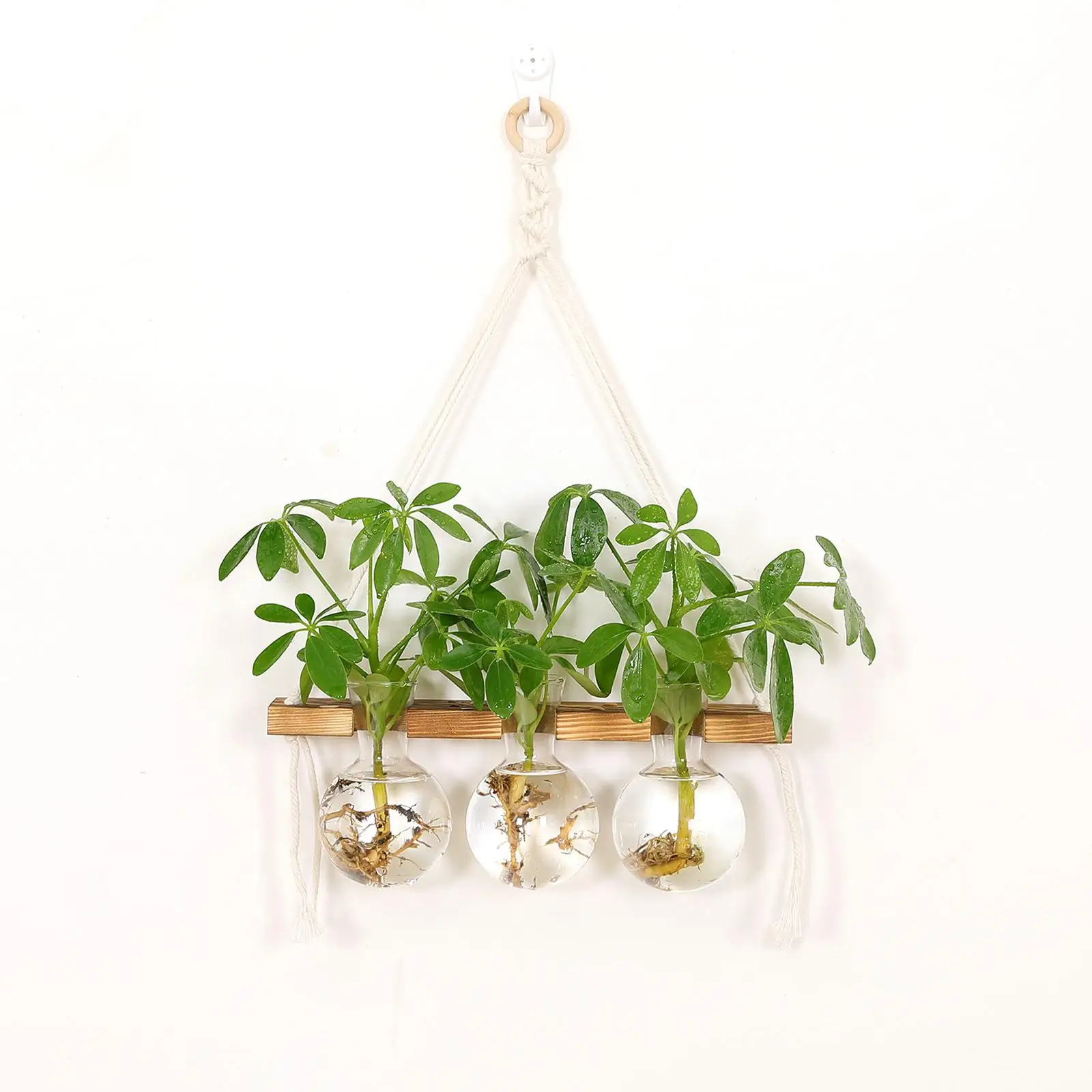 Wall Hanging Planter Terrarium for Hydroponic Plants Propagation Station Flower Pot Bulb Glass Vase for Office Home Decoration