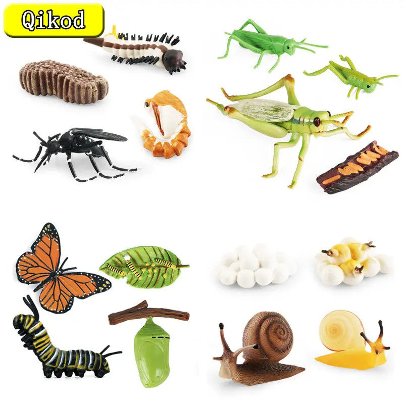 

2022 Animal Growth Cycle Insect Figurines Grasshopper Snail Cock Penguin Action Figures Children Cognitive Early Toys Collection