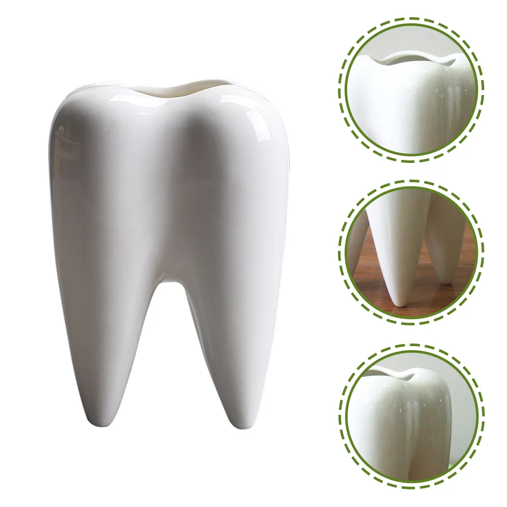 

Vase Tooth-shape Desktop Ceramic Small Molar Succulent Vase Planter Flower Pot for Succulent Decoration Desktop
