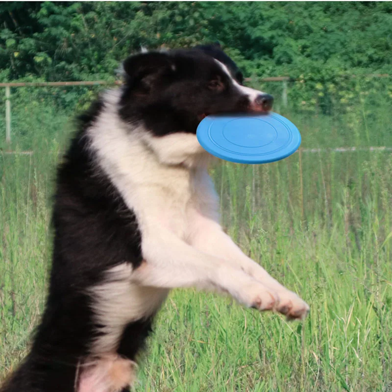 

Soft Non-Slip Dog Flying Disc Silicone Anti-Chew Dog Toy Pet Puppy Training Interactive Dog Supplies