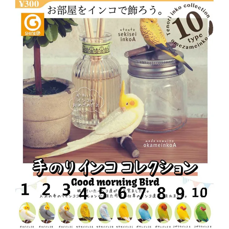 

Gashapon Capsule Toy Japan SHINEG Parrot Sleeping On A Branch Model Birds Doll Table Decoration