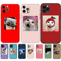 black tpu case for iphone 5 5s se 2020 6 6s 7 8 plus x 10 xr xs 11 12 13 mini pro max back cover funy cute lovely cat kitty meow