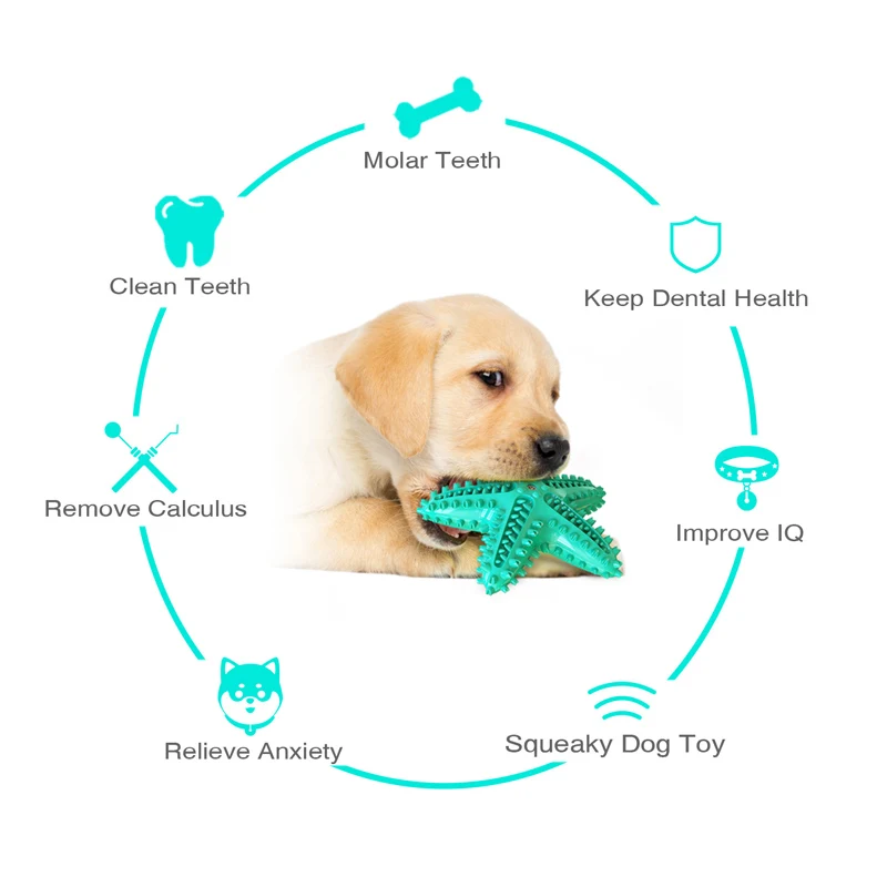 

Dog Toys Tpr Molar Interaction Tooth Grinding Is Resistant To Biting Attract The Dogs Attention Durable And Sturdy 141g