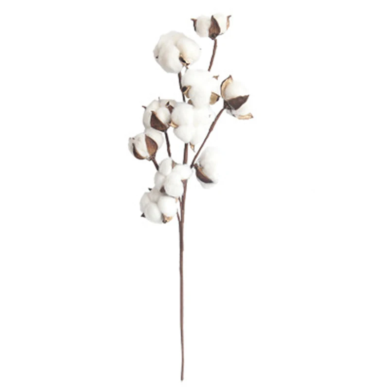 

Naturally Dried Cotton Stems Artificial Plants Floral Branch For Wedding Party DIY Garland Fake Flowers Home Decor