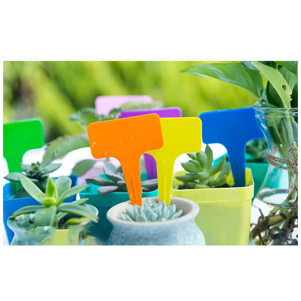 

Garden Labels Plant Tags Plant Labels Plate Potted Durable Easy To Write Plastic Practical Reuse Garden Accessories