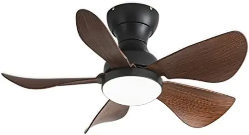 

Fan with Lights Remote Control,29 lnch Small Ceiling Fan Flush Mount, 5 Reversible Blades, Low Profile Ceiling Fan Light with 6