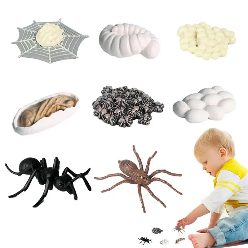 

Маленькие фигурки пауков, ливапан, 8 шт., набор моделей пауков со сроком службы, развивающие игрушки пауков, яркие детские игрушки для мальчиков и девочек