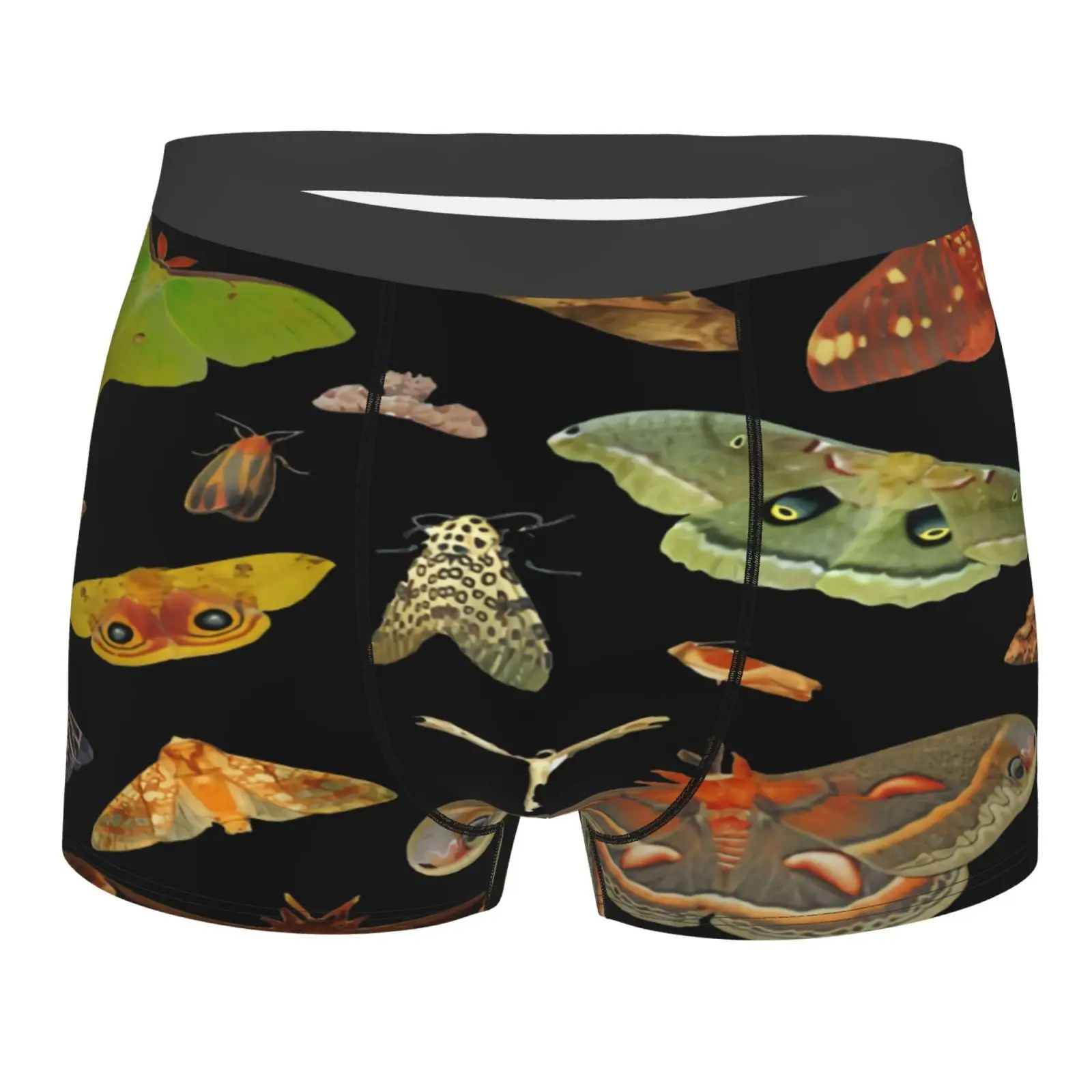 

Moth Moths Moth Lepidopteran Moth Men's Panties Men Luxury Men Low Male Mens Underwear Female Underwear Sexy Man Mens With Fly