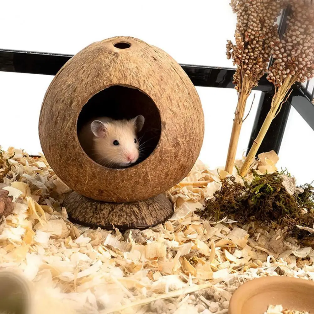 Домик для хомяка безопасный домик крыс натуральная Кокосовая Скорлупа маленький