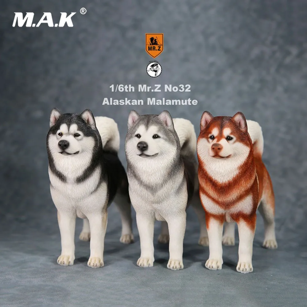 

For Collection 1/6 Scale Mr.Z No.032 Resin Material Alaskan Malamute Dog Animal Model Toy for 12 inches Action Figure Collection
