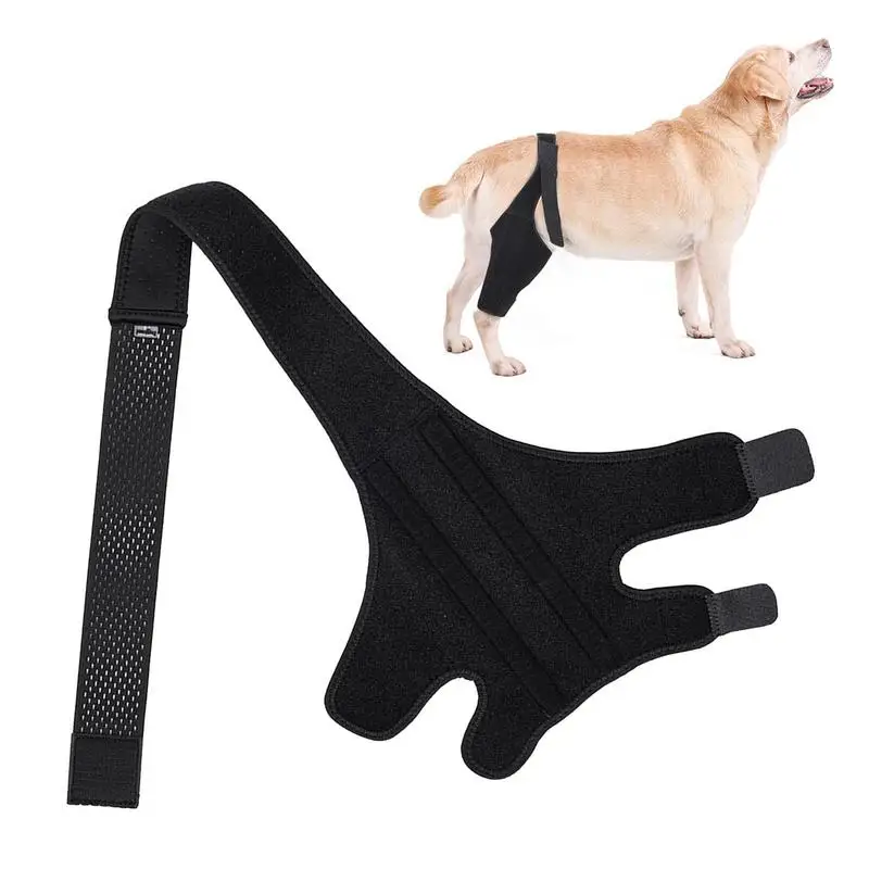 

Dog Leg Brace Pet Leg Support Dog Elbow Brace Knee Immobilizer Knee Brace Strap Joint Bandage Wrap Pet Dogs Injury Knee Pads