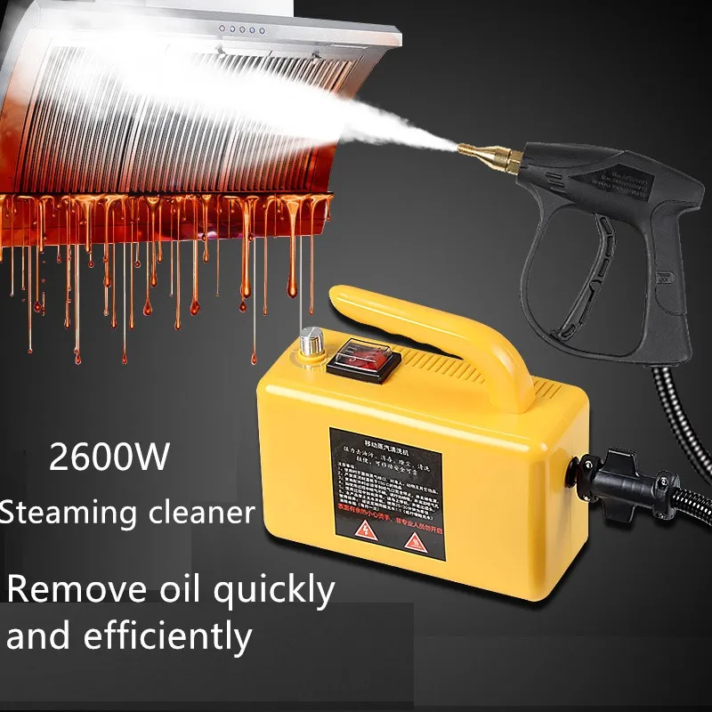 

220V Electric Steaming Cleaner High Temperature And Pressure Steam Cleaner For Hood Air Conditioner Kitchen Tool Steaming Clean