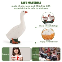 4pcs simulation poultry life cycle figures growth stage model toys for kids children biology educational toy teaching aids